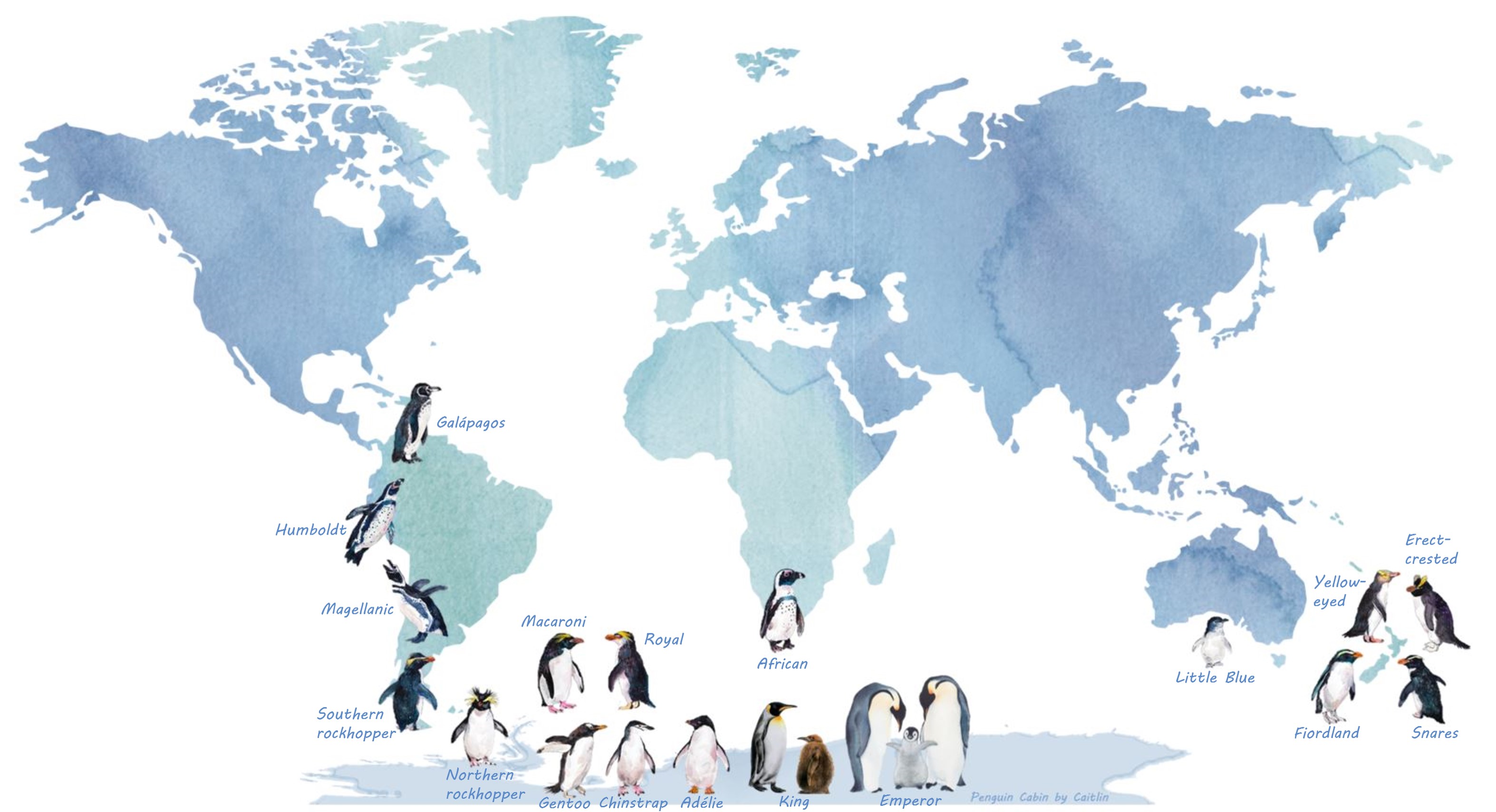 Penguin Habitat Map